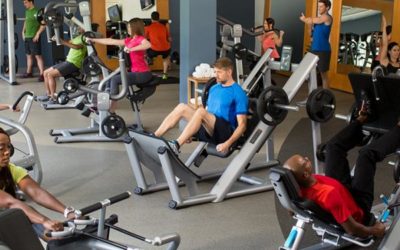 Tips On Using Instagram For Your Fitness Business