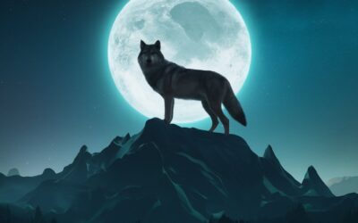 Feeling Like a Lone Wolf in the Gym Jungle? Why a Consultant Can Be Your Pack Leader.