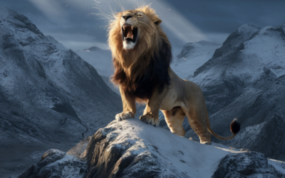 Play by the Rules, But Be Ferocious: How to Conquer the Gym Industry